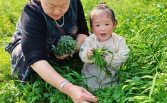 8月这些新规将影响你我生活